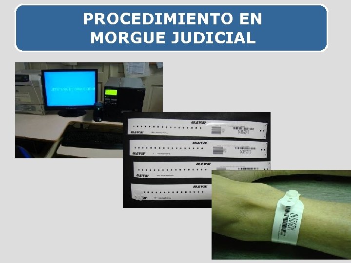 PROCEDIMIENTO EN MORGUE JUDICIAL 