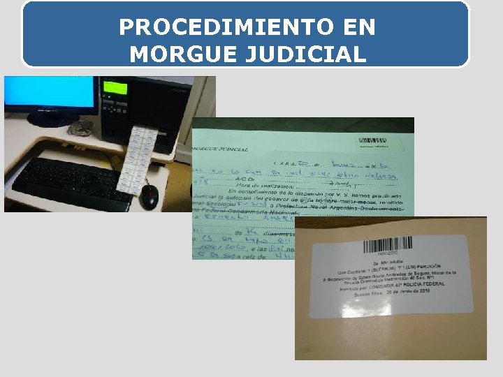 PROCEDIMIENTO EN MORGUE JUDICIAL 