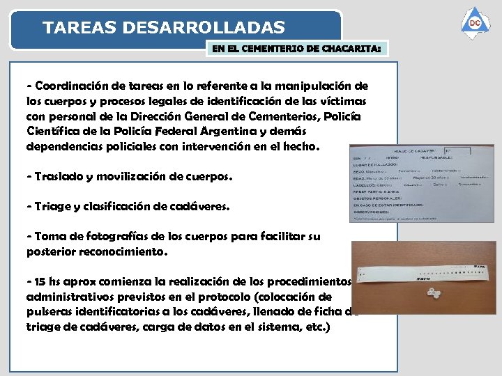 TAREAS DESARROLLADAS Tareas desarrolladas - Coordinación de tareas en lo referente a la manipulación