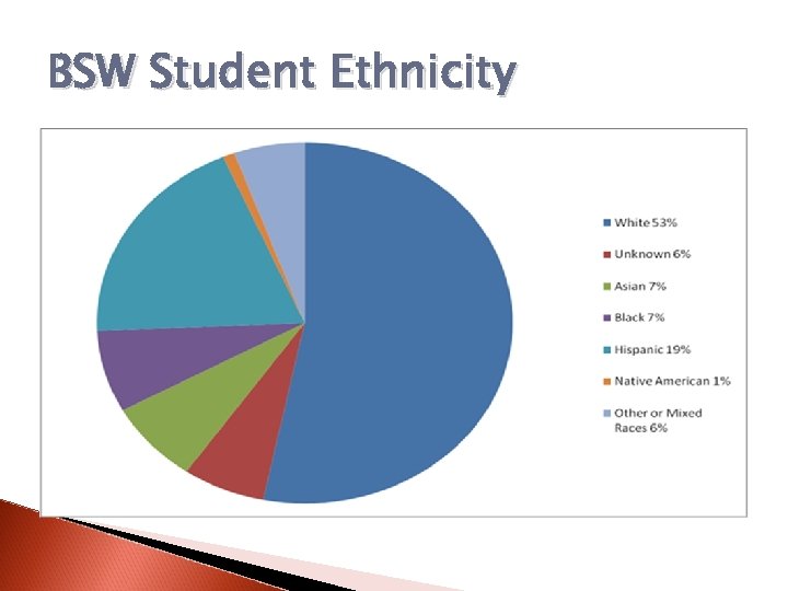 BSW Student Ethnicity 