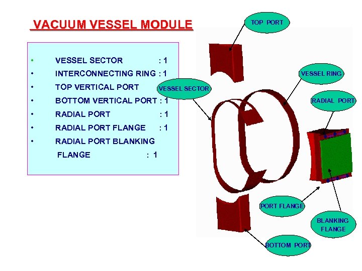 VACUUM VESSEL MODULE • VESSEL SECTOR • INTERCONNECTING RING : 1 • TOP VERTICAL