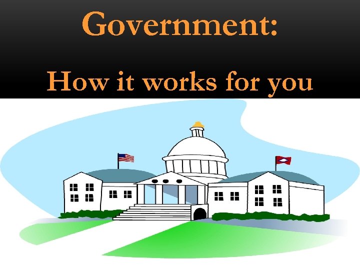 Government: How it works for you 