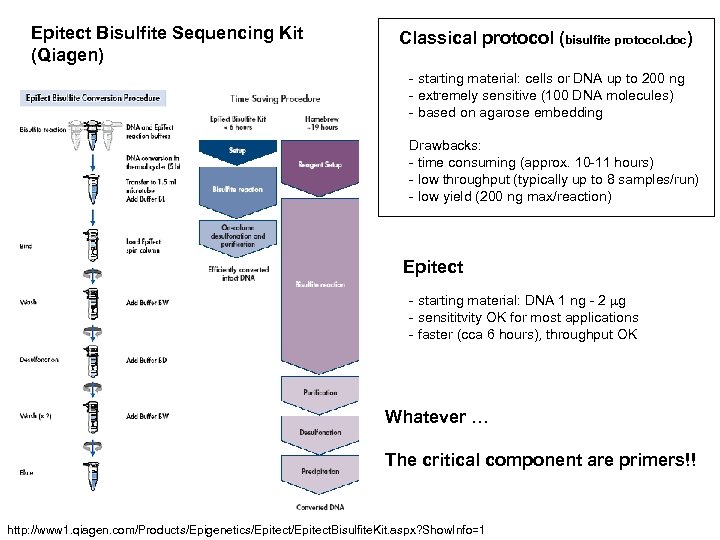 Epitect Bisulfite Sequencing Kit (Qiagen) Classical protocol (bisulfite protocol. doc) - starting material: cells