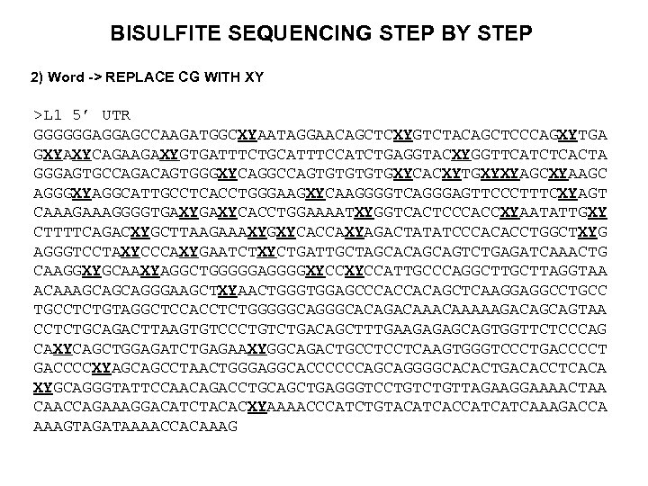 BISULFITE SEQUENCING STEP BY STEP 2) Word -> REPLACE CG WITH XY >L 1