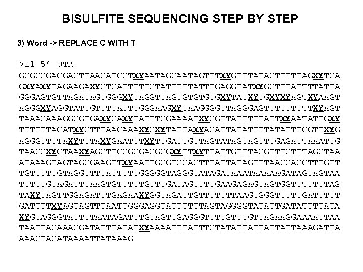BISULFITE SEQUENCING STEP BY STEP 3) Word -> REPLACE C WITH T >L 1