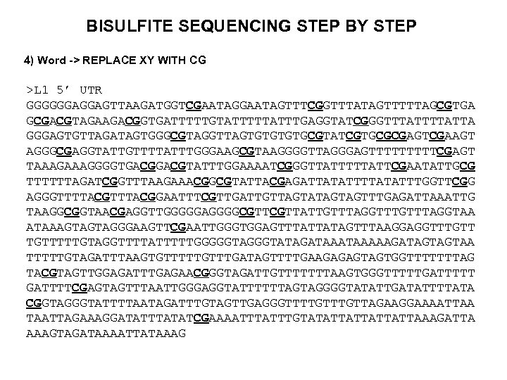 BISULFITE SEQUENCING STEP BY STEP 4) Word -> REPLACE XY WITH CG >L 1
