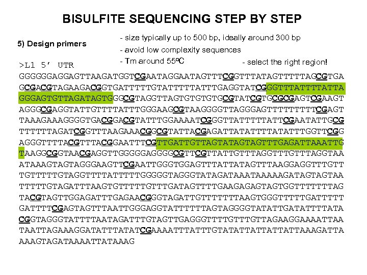 BISULFITE SEQUENCING STEP BY STEP 5) Design primers - size typically up to 500