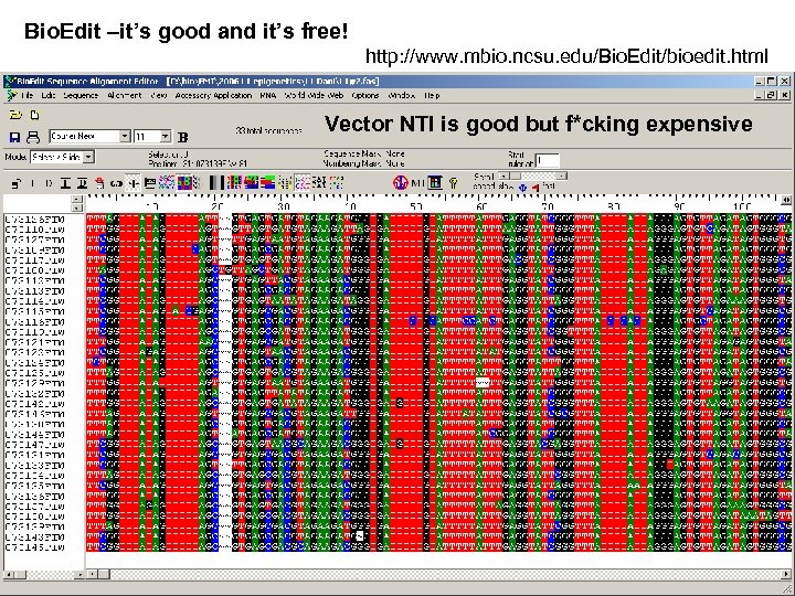 Bio. Edit –it’s good and it’s free! http: //www. mbio. ncsu. edu/Bio. Edit/bioedit. html