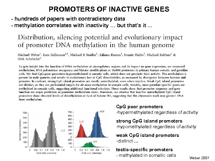 PROMOTERS OF INACTIVE GENES - hundreds of papers with contradictory data - methylation correlates