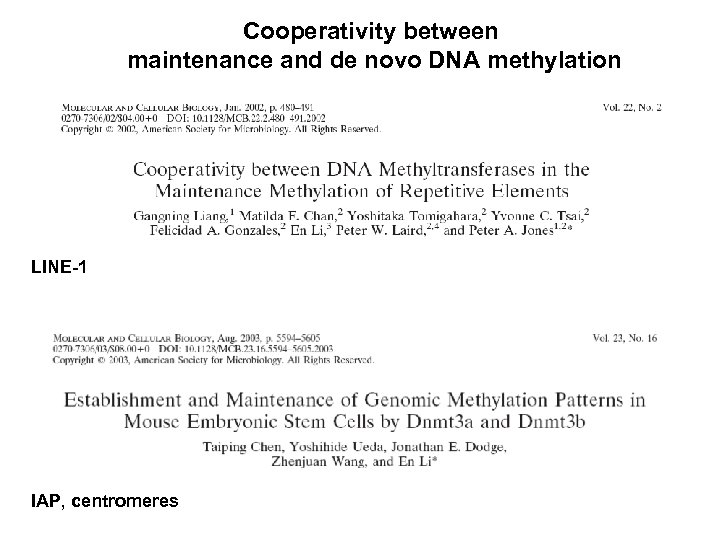 Cooperativity between maintenance and de novo DNA methylation LINE-1 IAP, centromeres 