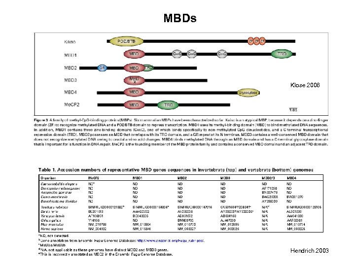 MBDs Klose 2006 Hendrich 2003 