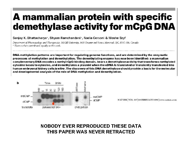 NOBODY EVER REPRODUCED THESE DATA THIS PAPER WAS NEVER RETRACTED 