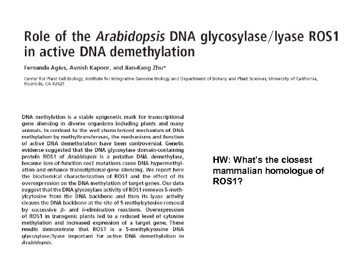 HW: What’s the closest mammalian homologue of ROS 1? 