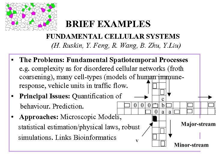 BRIEF EXAMPLES FUNDAMENTAL CELLULAR SYSTEMS (H. Ruskin, Y. Feng, R. Wang, B. Zhu, Y.