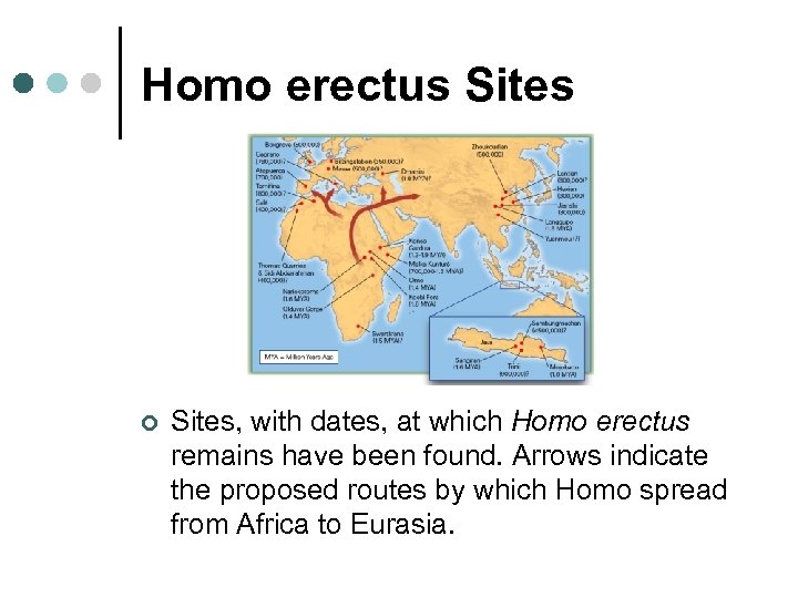 Homo erectus Sites ¢ Sites, with dates, at which Homo erectus remains have been