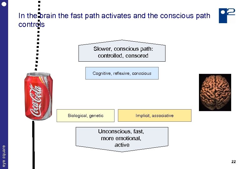 In the brain the fast path activates and the conscious path controls Slower, conscious