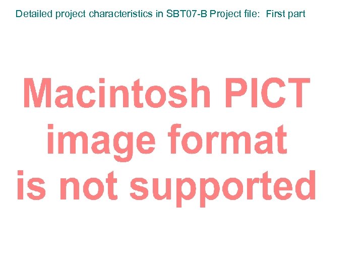 Detailed project characteristics in SBT 07 -B Project file: First part 