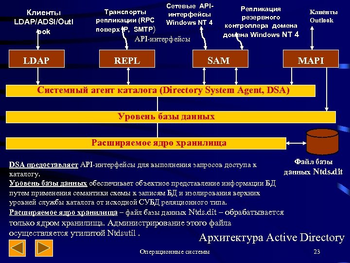 Клиенты LDAP/ADSI/Outl ook LDAP Транспорты репликации (RPC поверх IP, SMTP) Сетевые APIинтерфейсы Windows NT