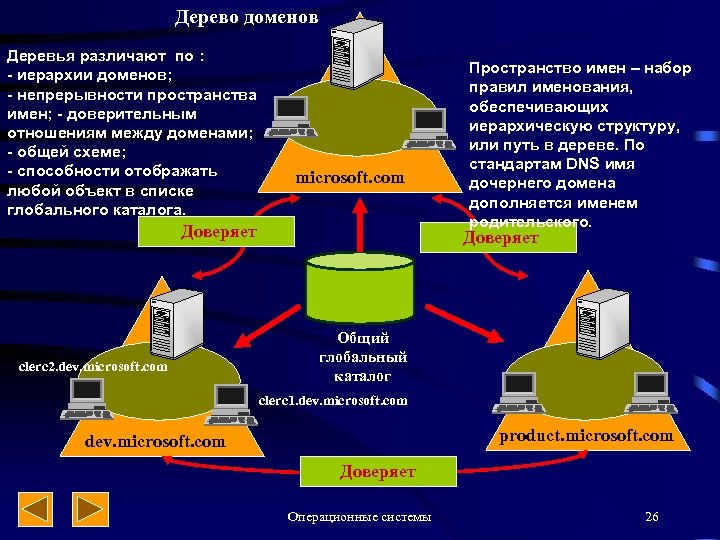 Дерево доменов Деревья различают по : - иерархии доменов; - непрерывности пространства имен; -