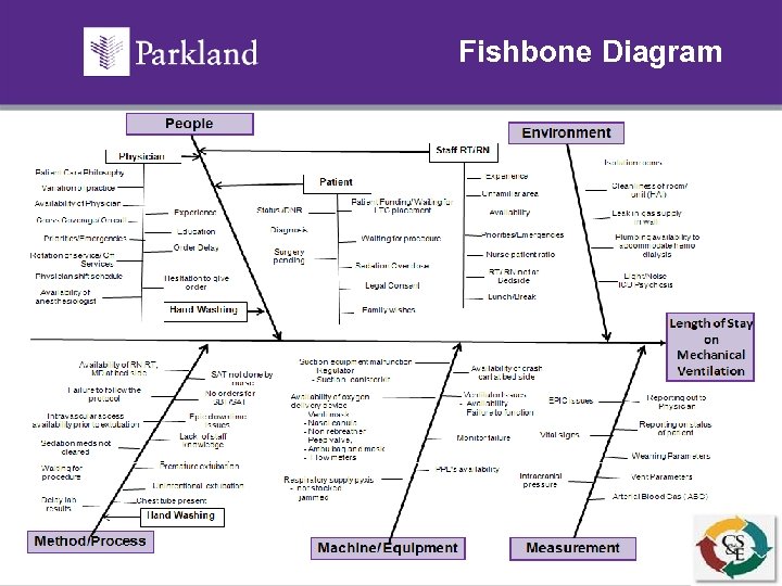 Fishbone Diagram 