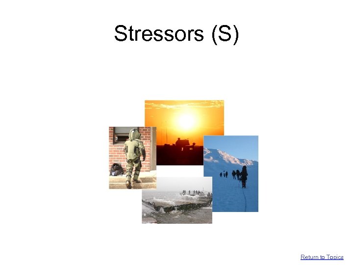 Stressors (S) Return to Topics 