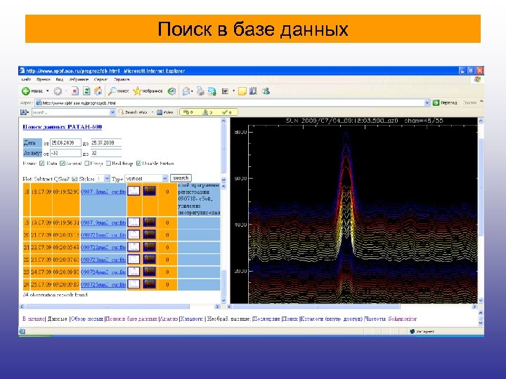 Поиск в базе данных 