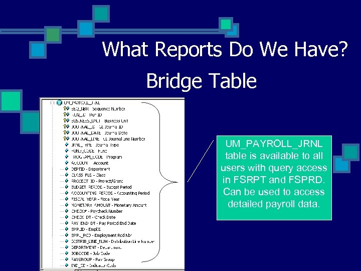 What Reports Do We Have? Bridge Table UM_PAYROLL_JRNL table is available to all users