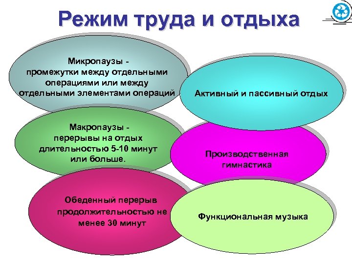 Режим труда и отдыха Микропаузы промежутки между отдельными операциями или между отдельными элементами операций