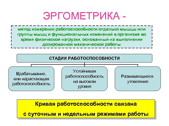 ЭРГОМЕТРИКА метод измерения работоспособности отдельно мышцы или группы мышц и функциональных изменений в организме