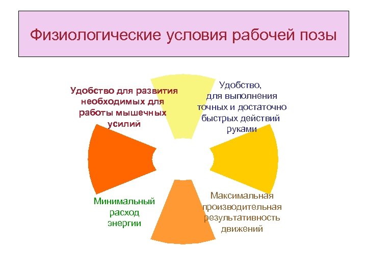 Физиологические условия рабочей позы Удобство для развития необходимых для работы мышечных усилий Удобство, для