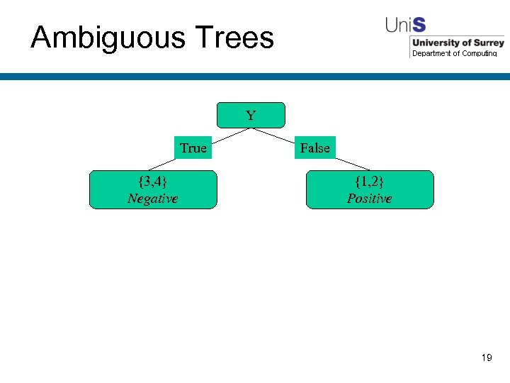 Ambiguous Trees Y True {3, 4} Negative False {1, 2} Positive 19 