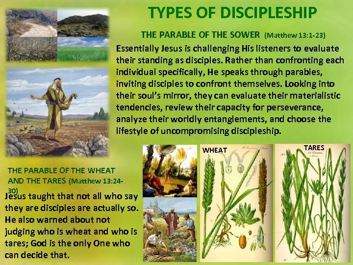 DISCIPLING THROUGH METAPHOR Lesson 2 for January 11