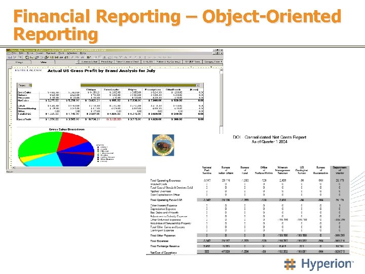 Financial Reporting – Object-Oriented Reporting 