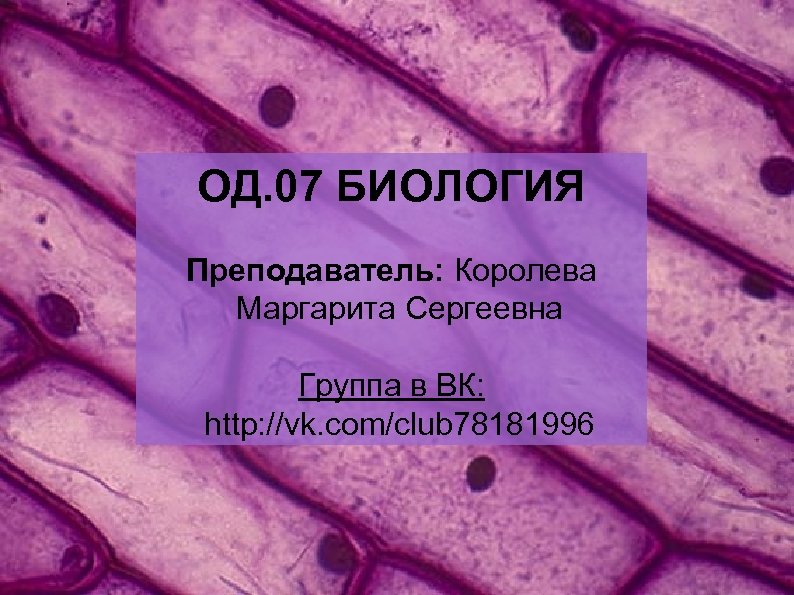 ОД. 07 БИОЛОГИЯ Преподаватель: Королева Маргарита Сергеевна Группа в ВК: http: //vk. com/club 78181996