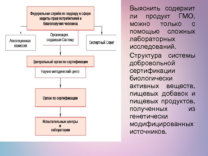 Выяснить содержит ли продукт ГМО, можно только с помощью сложных лабораторных исследований. Структура системы