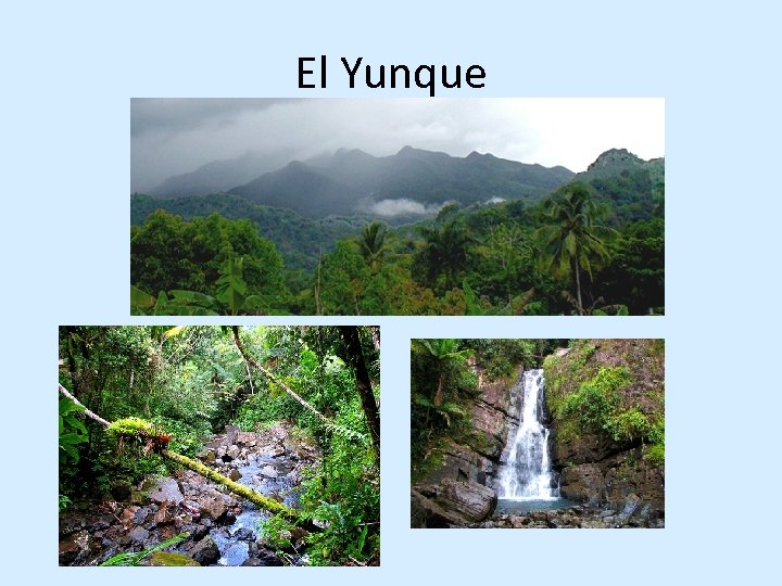 El Yunque 