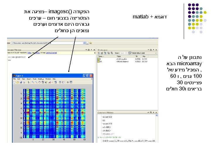  דוגמא + matlab נתבונן על ה microarray הבא , המכיל מידע של 001