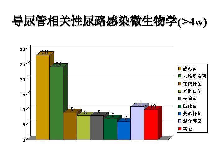 导尿管相关性尿路感染微生物学(>4 w) 