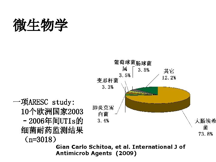微生物学 一项ARESC study: 10个欧洲国家 2003 – 2006年间UTIs的 细菌耐药监测结果 （n=3018） Gian Carlo Schitoa, et al.