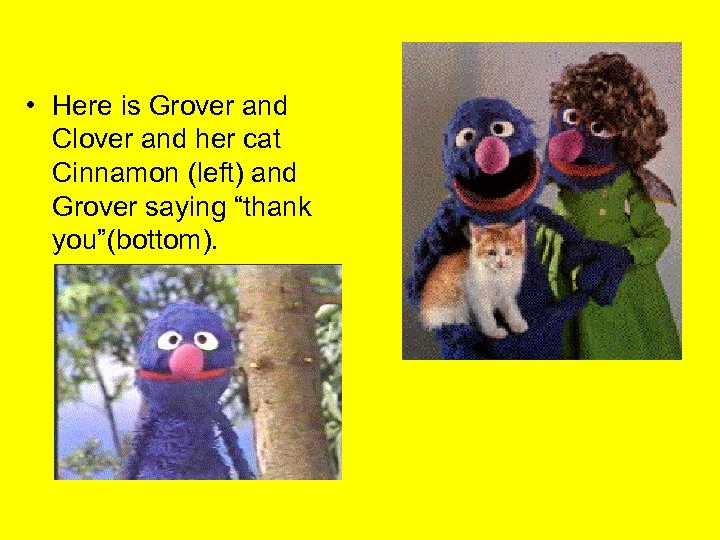  • Here is Grover and Clover and her cat Cinnamon (left) and Grover