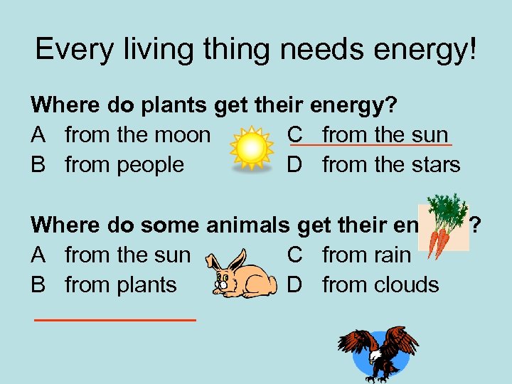 Every living thing needs energy! Where do plants get their energy? A from the