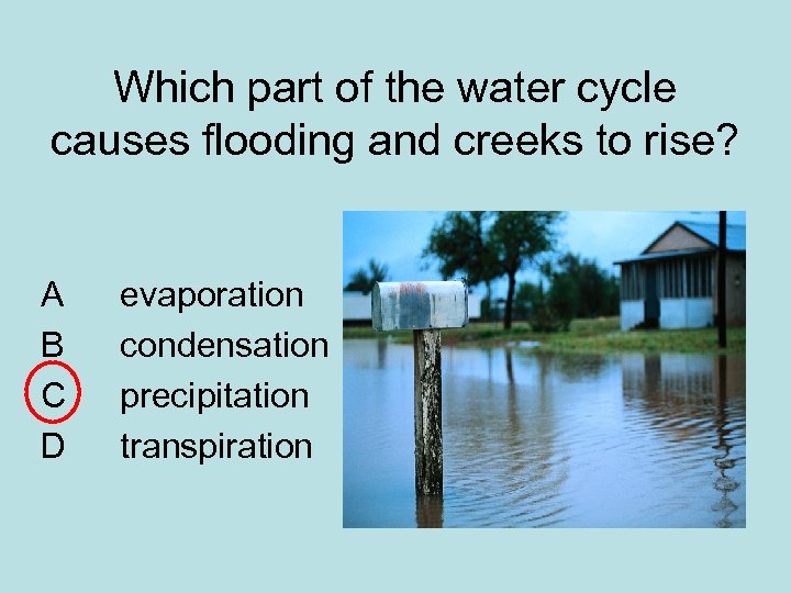 Which part of the water cycle causes flooding and creeks to rise? A B