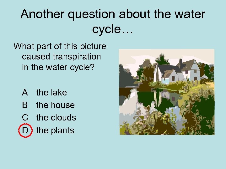 Another question about the water cycle… What part of this picture caused transpiration in
