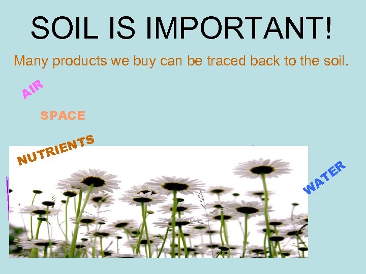 SOIL IS IMPORTANT! Many products we buy can be traced back to the soil.