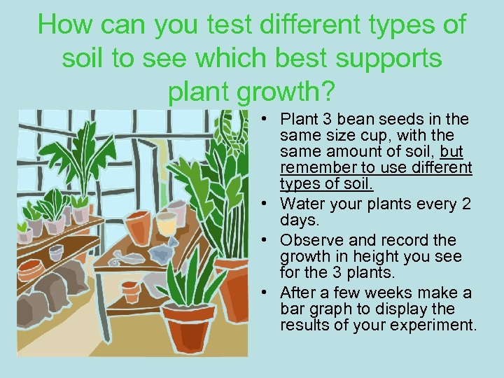How can you test different types of soil to see which best supports plant