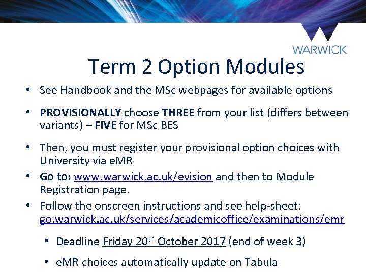 Term 2 Option Modules • See Handbook and the MSc webpages for available options