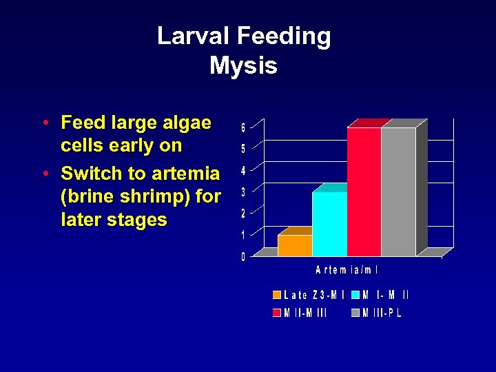 Larval Feeding Mysis • Feed large algae cells early on • Switch to artemia