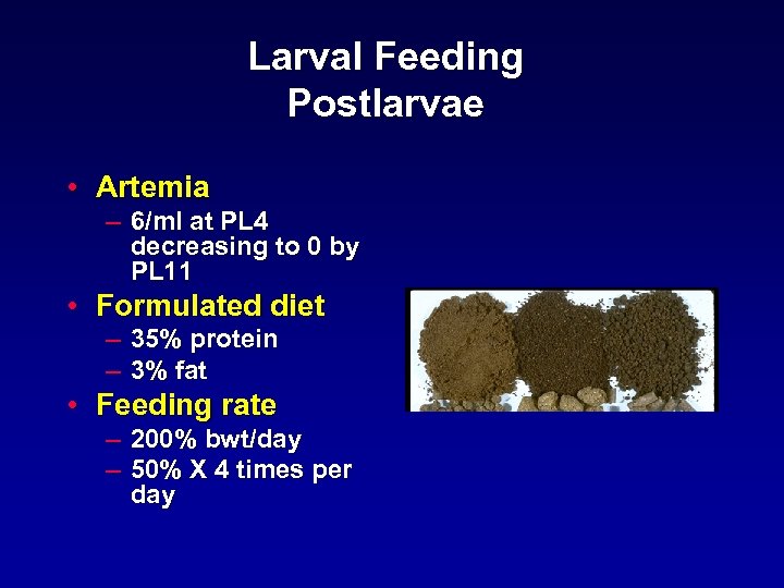 Larval Feeding Postlarvae • Artemia – 6/ml at PL 4 decreasing to 0 by