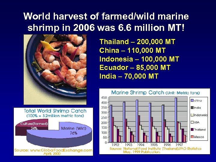 World harvest of farmed/wild marine shrimp in 2006 was 6. 6 million MT! Thailand