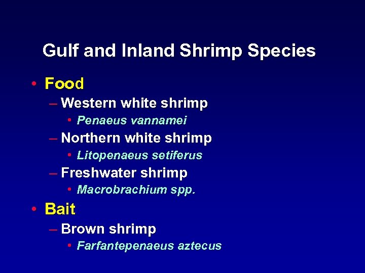 Gulf and Inland Shrimp Species • Food – Western white shrimp • Penaeus vannamei